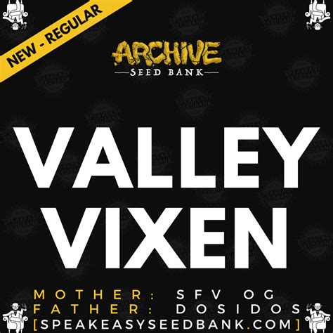 valley vixen|Valley Vixen Strain Info / Valley Vixen Weed By Archive Seed。